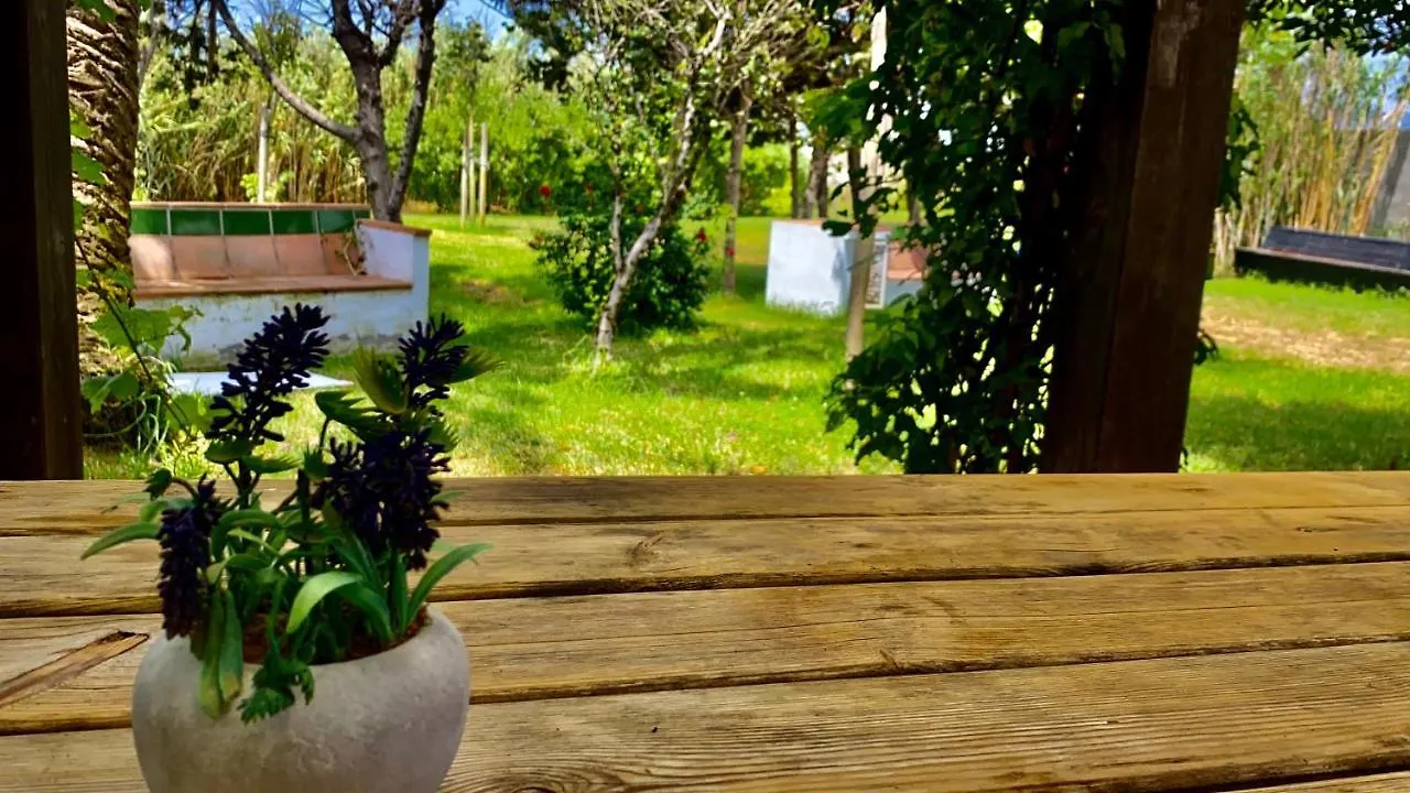 Hotel Banti Garden Tarifa Penzion