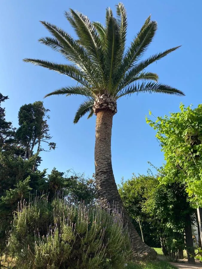 Inn Banti Garden Hotel Tarifa